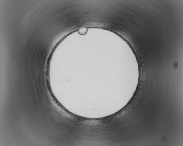 X0000115241135200912111048