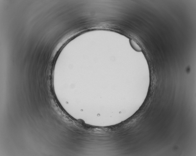 X0000115241138200912111048