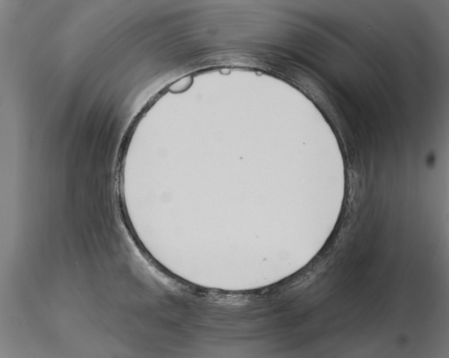 X0000115241141200912111048