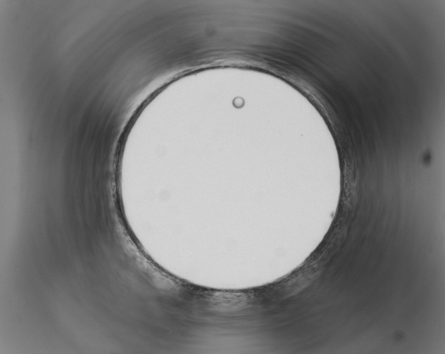 X0000115241142200912111048