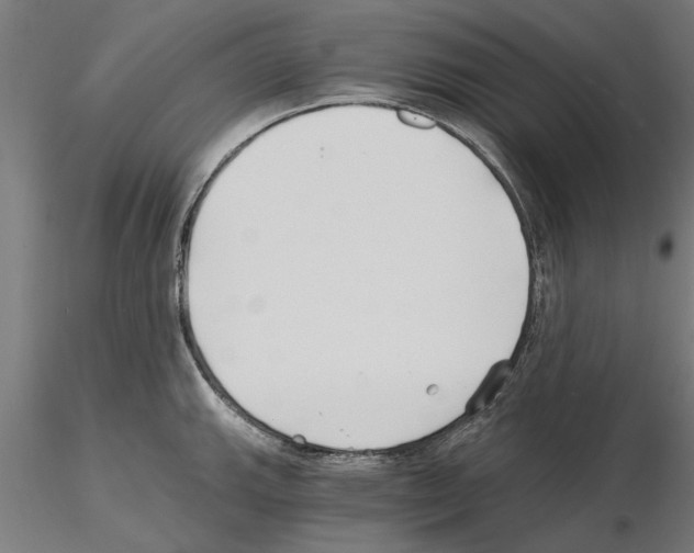 X0000115241143200912111048