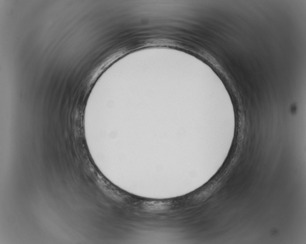 X0000115241145200912111048