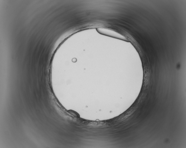 X0000115241146200912111048