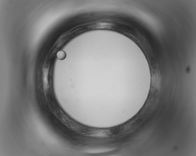 X0000115241150200912111048