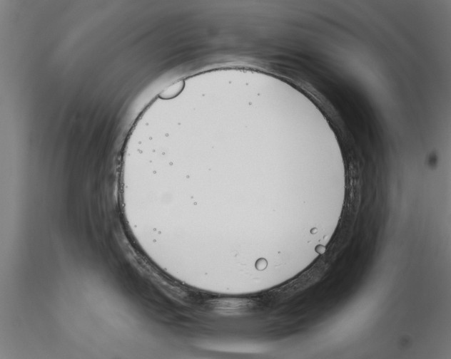 X0000115241151200912111048