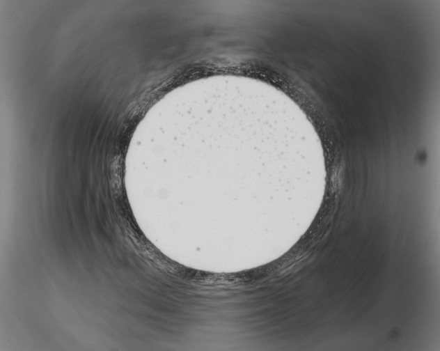 X0000115241156200912111048