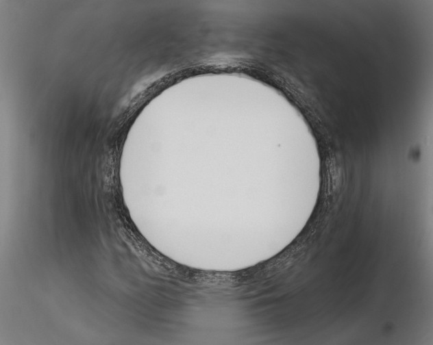 X0000115241158200912111047