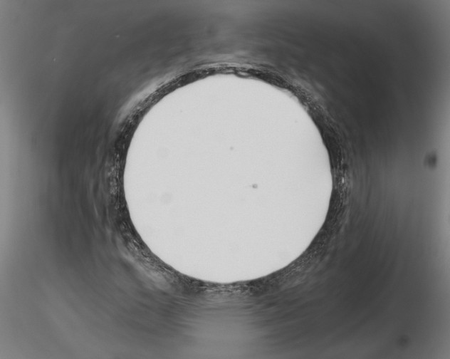 X0000115241159200912111047