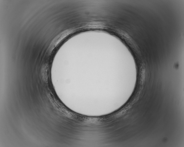 X0000115241162200912111047