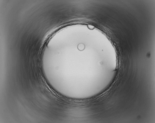 X0000115241164200912111047