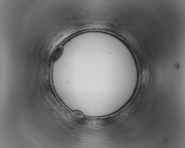 X0000115241165200912111047