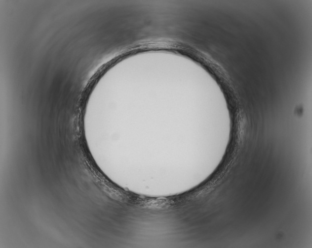 X0000115241166200912111047