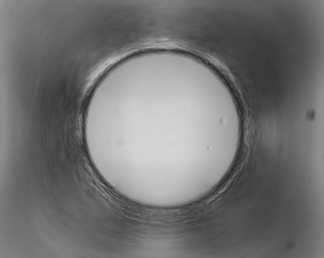 X0000115241167200912111047