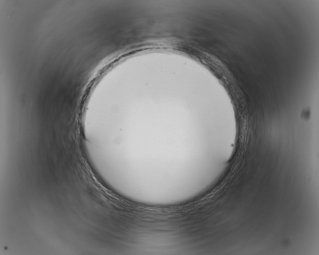 X0000115241168200912111047