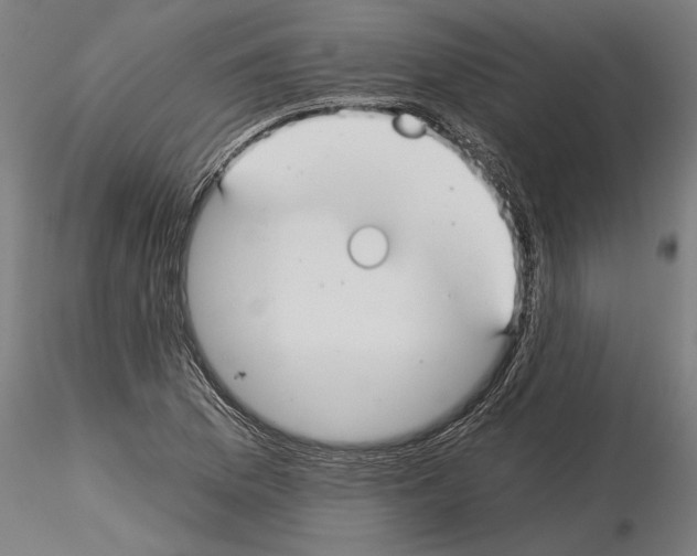 X0000115241169200912111047