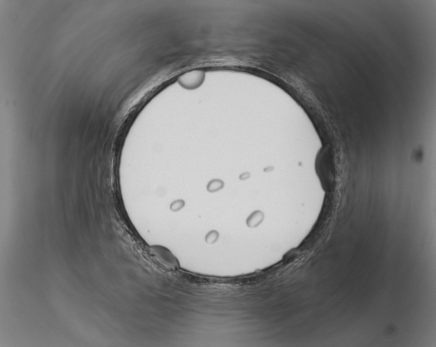 X0000115241173200912111047