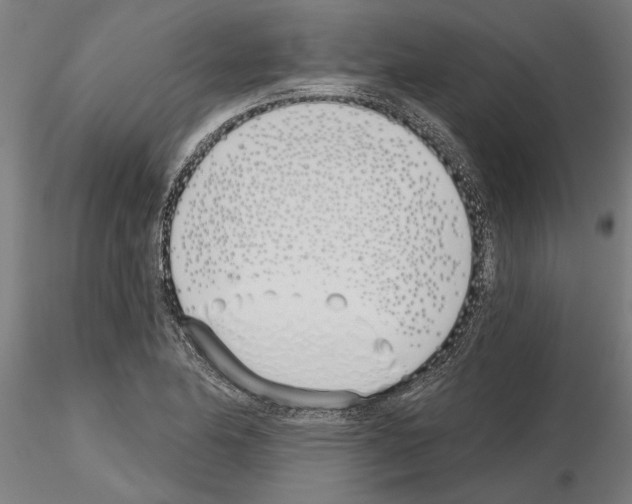 X0000115241174200912111047