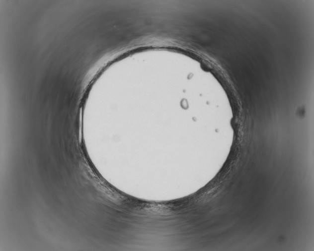 X0000115241175200912111047