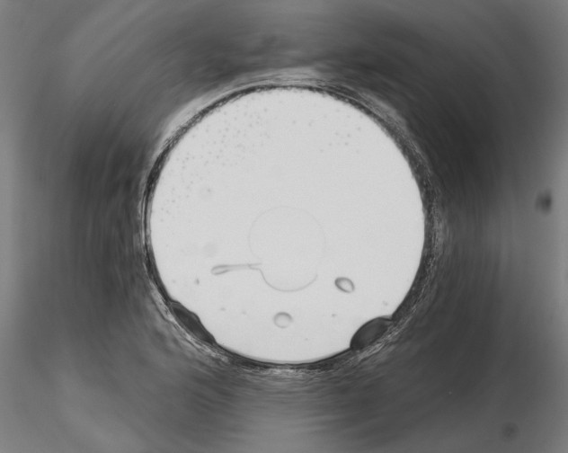 X0000115241176200912111047