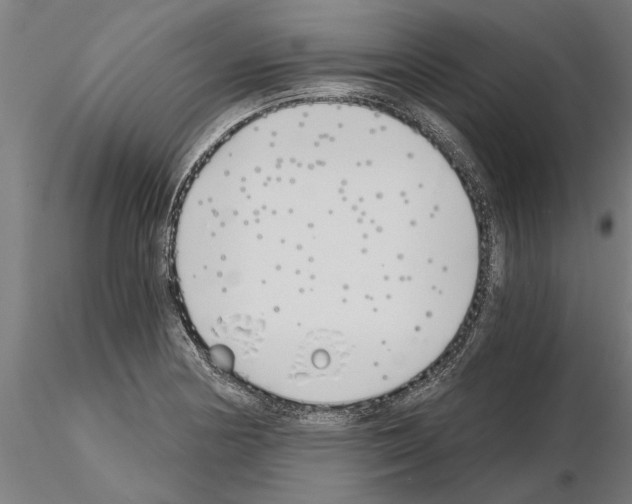 X0000115241178200912111047