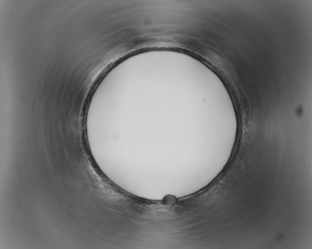 X0000115241181200912111047