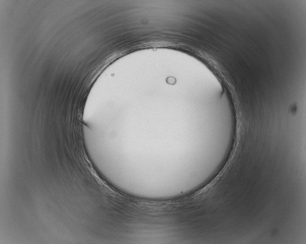 X0000115241185200912111047