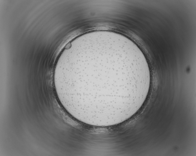 X0000115241186200912111047