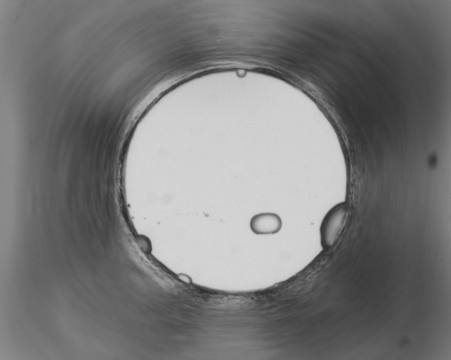 X0000115241187200912111047