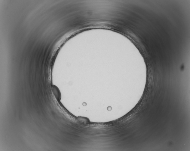 X0000115241188200912111047