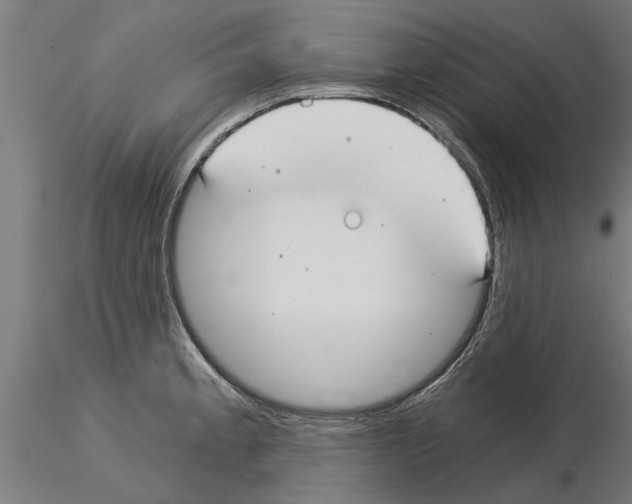 X0000115241189200912111047