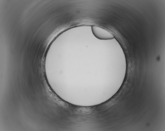 X0000115241190200912111047