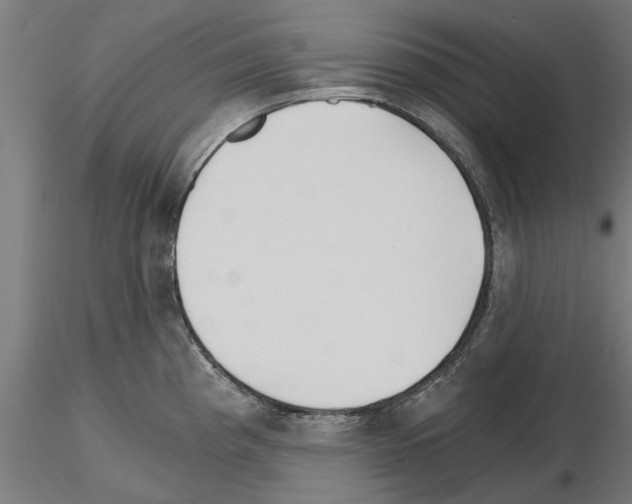 X0000115241193200912111047