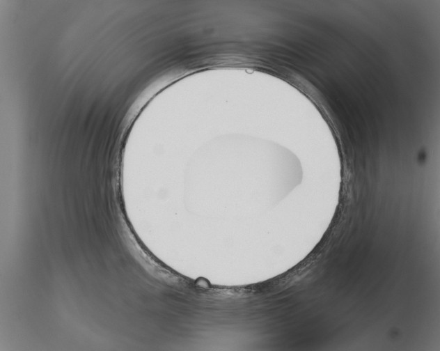 X0000115241195200912111047