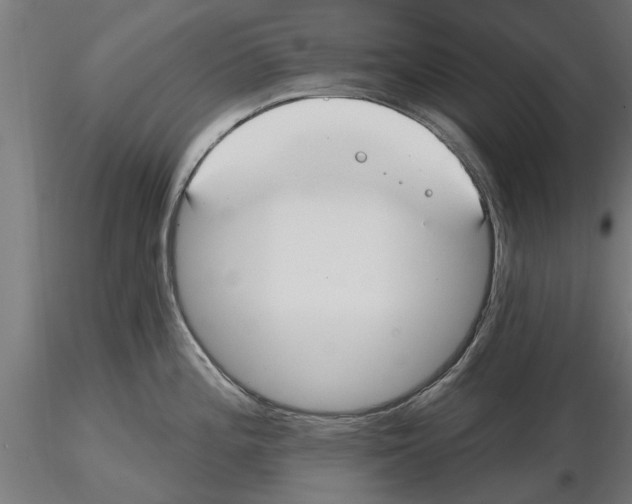 X0000115241196200912111047