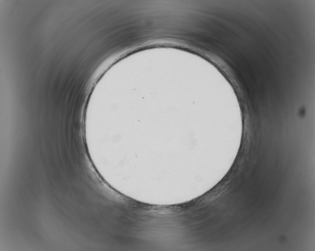 X0000115241199200912111047