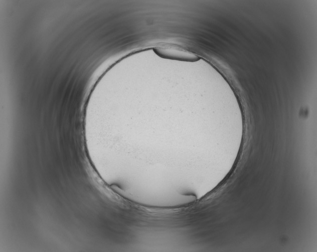 X0000115241200200912111047