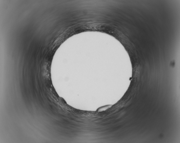 X0000115241202200912111046