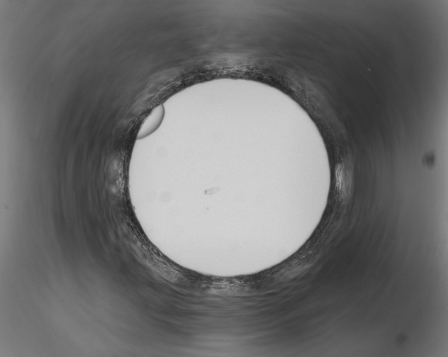 X0000115241203200912111046