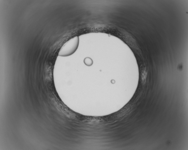 X0000115241204200912111046