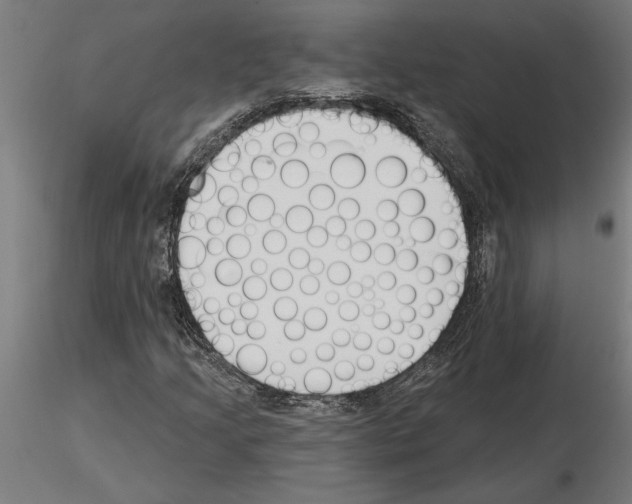 X0000115241205200912111046