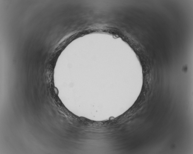 X0000115241206200912111046