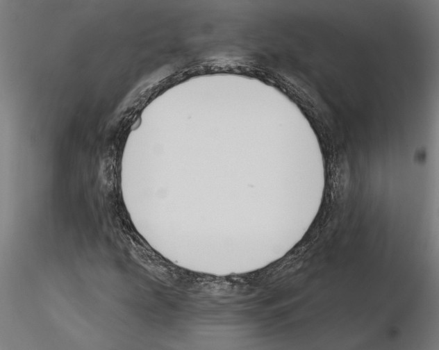 X0000115241207200912111046