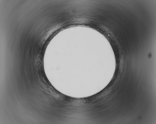 X0000115241210200912111046