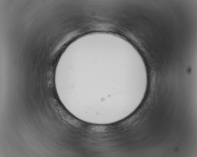 X0000115241211200912111046