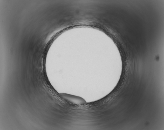 X0000115241214200912111046