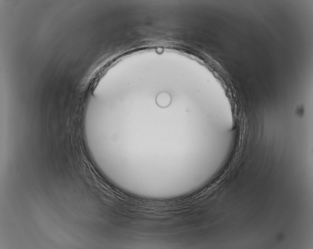 X0000115241215200912111046