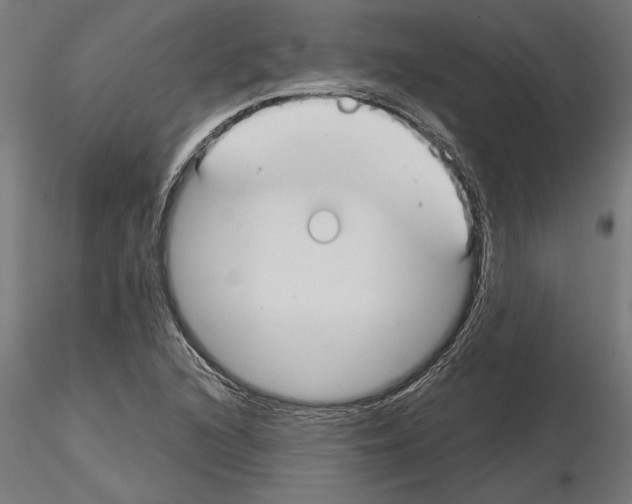 X0000115241216200912111046