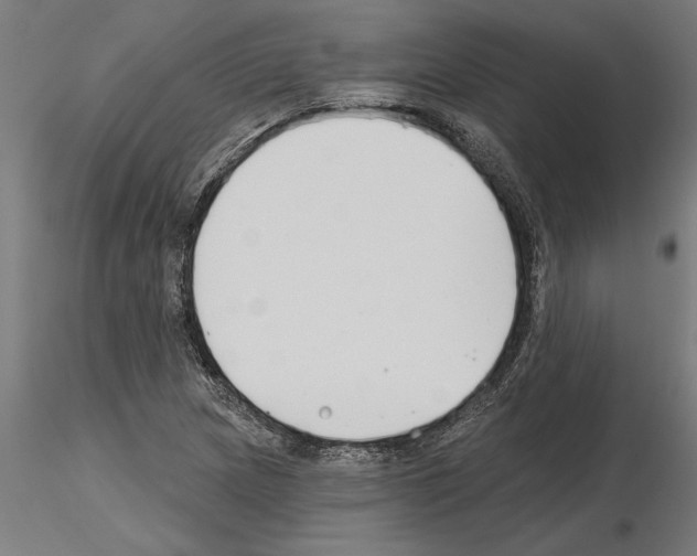 X0000115241217200912111046