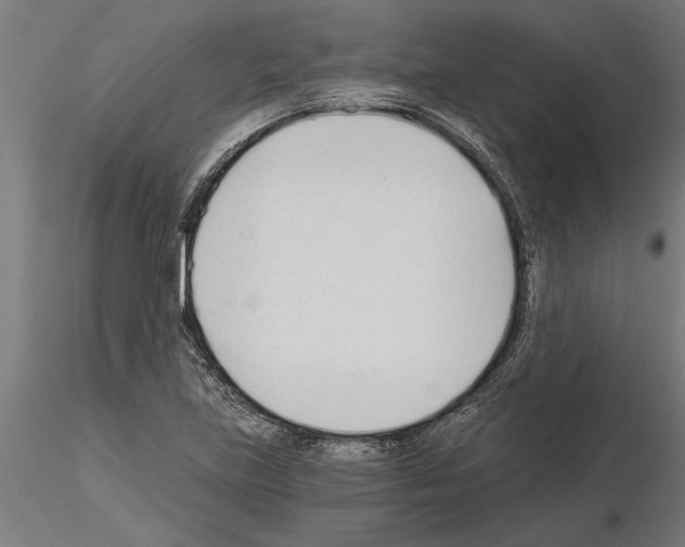 X0000115241219200912111046