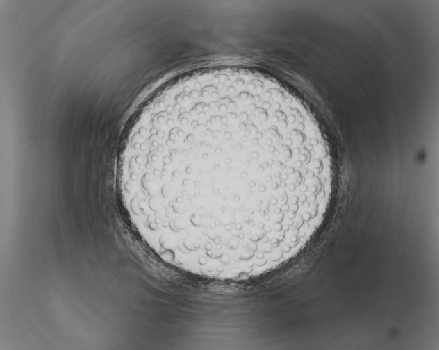 X0000115241220200912111046